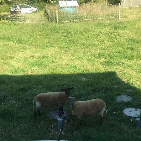 Gite Le Bossero Sur La Vallee Du Trevelo Caden Exteriör bild